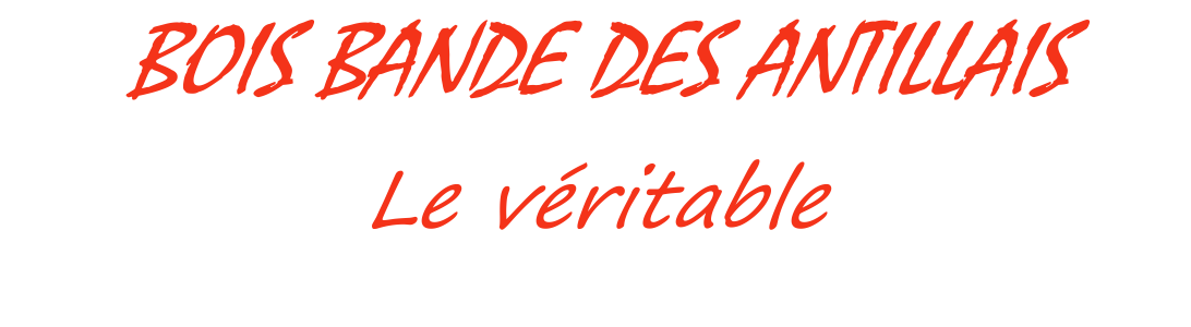 Bois bandé des Antillais, le véritable à découvrir !